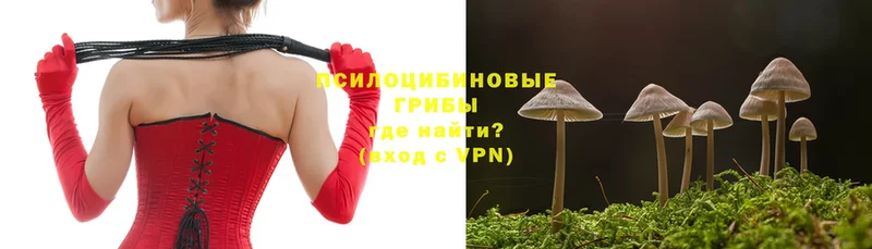 Псилоцибиновые грибы MAGIC MUSHROOMS  купить наркотики цена  Злынка 